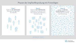 In phase i werden w irkstoffe in der regel an gesunden menschen getestet, um die verträglichkeit zu prüfen. So Werden Impfstoffe Gegen Covid 19 Erprobt Vfa