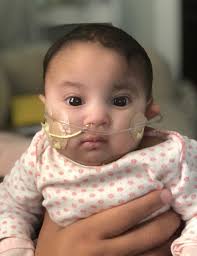 Obituary information for Brooklyn Hannah Frazier