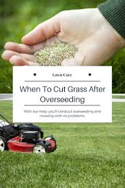 Give your new lawn the best chance to thrive. When To Cut Grass After Overseeding A Green Hand
