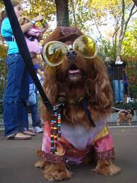 Maybe you would like to learn more about one of these? 5 Ridiculously Cute Halloween Costumes For Dogs