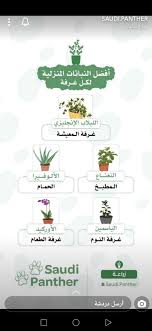Pin By Abdulrahman Alghamdi On البانثر السعودي In 2020 Plant Decor Garden Projects Indoor Plants