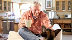 Do you pet sitters need insurance when starting a pet sitting business? Pin On Pets Plus Us Videos