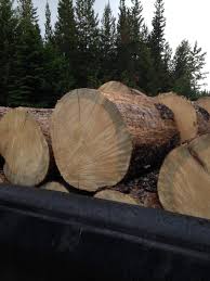 When it was stacked they put my tarp over it. How To Find Free Firewood For Your Wood Stove Heat Your Home