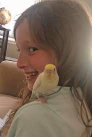 Animal Refuge League of Greater Portland