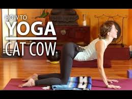 It will leave you feeling. Yoga For Back Pain 5 Minute Beginners Cat Cow Yoga Flow For Lower Back Pain Youtube