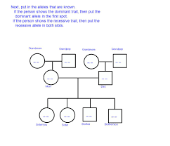 How To Make A Pedigree Chart With Genotypes Www