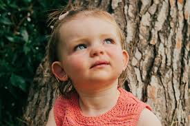 Friends of Alcudia Pins