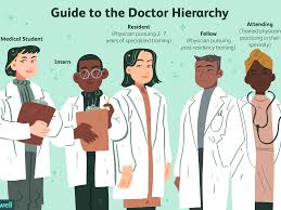 Doctor synonyms, doctor pronunciation, doctor translation, english dictionary definition of doctor. Who Are Doctors Residents Interns And Attendings