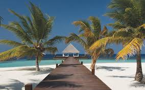 100 Amazing Zoom Backgrounds To Take You From Your Favorite Tv Show To Disney World Background Disney Background Beach Background