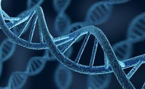 Deoxyribonucleic acid (dna) is a molecule you may for this, they earned the nobel prize in 2006! Dna Rna Purification