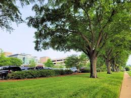 Our team strives to provide you not only with the cleanest and most quality driven nutrient products on the market but also to be your trusted plant nutrient advisor. Arbor Day Blog Tree Care Planting