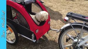 E Bike Mobilist 2017 Womoclick De Youtube