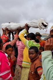 Ahitana sahady ny amboara lehibe tsy mbola voaangona mihitsy ity habaka ity, araka izany betsaka ny asa natao sy ny fanazavana mahakasika an'i madagasikara. Famadihana Wikipedia