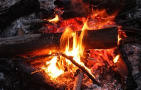 Here are the top 3 ways to get free firewood: Firewood Policy