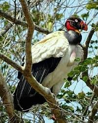 Jonny Infante Solis updated his...