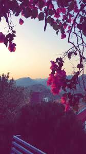 اجمل خلفيات, خلفيات, خلفيات الشاشه, خلفيات شاشه الموبايل, خلفيات شاشه الجوال. Ø®Ù„ÙÙŠØ§Øª Ø´Ø§Ø´Ù‡ On Twitter Ø®Ù„ÙÙŠØ§Øª