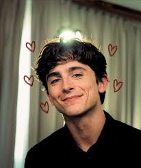 Alison ayala (alisonayalamontecinos22)