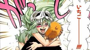 Bleach nell nel bleach wallpapers hd wallpaper collections neliel bleach wallpaper Nelliel Tu Odelschwanck And Ichigo Kurosaki Bleach Anime Bleach Characters Bleach Renji