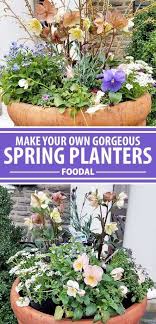 Constructing Your Own Container Of Showy Annuals And Perennials Is An Easy And Fun Project To We Spring Planter Container Gardening Flowers Container Gardening