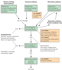 Animal cell immune system definition. An Overview Of The Immune System The Lancet