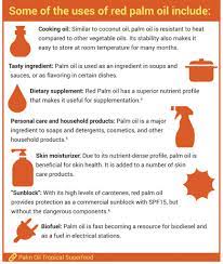 Benefits of palm oil include decreasing cholesterol levels, reducing oxidative stress, boosting brain health, slowing the progression of heart disease, increasing vitamin a status, and improving skin and hair health. The Importance Of Fat In The Diet Palm Oil Omega 3 6 Ratio Red Palm Oil