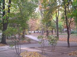 Rectificarea bugetară la primăria capitalei. PrimÄƒria BucureÈ™ti