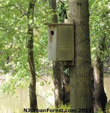 Thank you for reading our project about duck house plans and i recommend you to. Free Wood Duck House Plans Plans Free Download Versed92mzc
