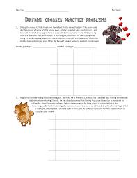 Transcribed image text from this question. Dihybridcrossesworksheet