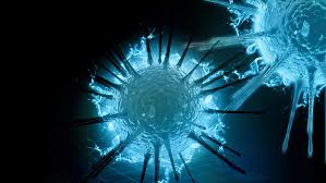 Ιοσ εμπολα ebola virus disease (e.v.d). Ygeiamou Gr To Site Gia Thn Kalh Ygeia Thn Swsth Diatrofh Kai Thn Eye3ia