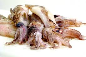 Il totano (todarodes) anche a 15kg. Rovinare Filosofo Spaventoso Tempo Cottura Anelli Calamari Monzacorre It