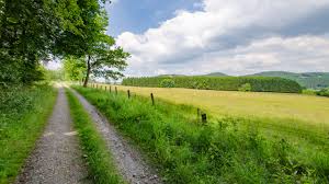 Outdoor action, albany, new zealand. Fernwehyvi Outdoor Action Im Teutoburger Wald