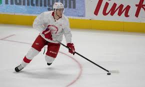 The red wings announced that nielsen will miss the remainder of the season. Who Made The Detroit Red Wings Roster And Taxi Squad And Who Didn T