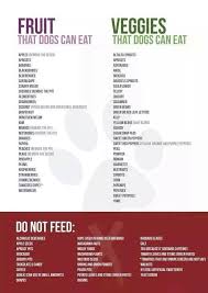 Safe Fruits And Vegetables List Healthy Dog Food Recipes Foods Dogs Can Eat Can Dogs Eat