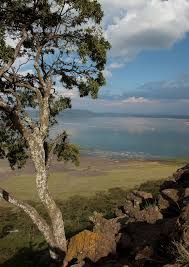 View From Baboon Cliff Lake Nakuru National Park Kenya Kenya Kenya Africa Nakuru
