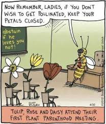 Flower Humor Keep Your Petals Closed Funny Cartoons Humor Funny Comics