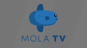 Essa imagem transparente de logo, logo tv, televisão foi compartilhada por hollyswrry. Cara Langganan Mola Tv Pilihan Harga Paketnya Ruanglaptop