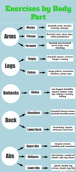 Woman body parts to workout. Pin On Infographic Tips