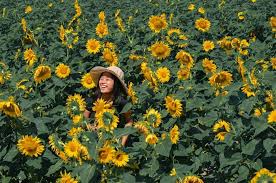 Nah itulah harga tiket masuk ke snowbay waterpark tmii yang berada di jakarta. Subasuka Waterpark Harga Tiket Masuk 2021 Subasuka Waterpark Harga Tiket Masuk 2021 Rekomendasi 18 Eksperilunem Tiket Wisata Harga Tiket Masuk The Jungle Terbaru 2021 Android Gadget