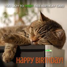 2 Words From Cute Animals Happy Bday Cute Birthday Wishes Birthday Wishes Funny Birthday Wishes Cute Birthday Wishes