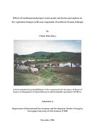 Image result for Harpachne schimperi