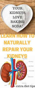 Repair Your Kidneys Naturally One Ingredient Only With Images Organic Health Diabetic Tips Kidney Health
