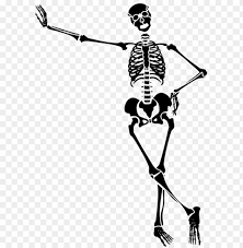 28 Collection Of Halloween Dancing Skeleton Clipart Skeleton Art Transparent Background Png Image With Transparent Background Png Free Png Images Skeleton Art Clip Art Transparent Background