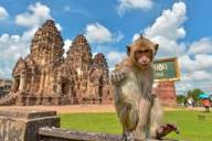 Ayutthaya & Lopburi Monkey Temple - Amazing Asia Tours