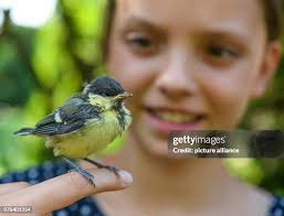 1.546 Foster Girls Stock Photos, High-Res Pictures, and Images