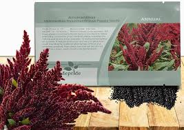 Image result for Amaranthus thunbergii