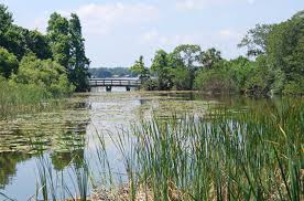 Lake maggiore is one of the most beautiful italian lakes and has enchanted the great italian and foreign artists who have stayed here. Boyd Hill Nature Preserve Lake Maggiore Environmental Education Center