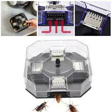 We have used orkin on 2 occasions and have had 100% satisfaction on both bed bugs and carpenter ants. Insect Bug Trap Catcher Cockroach Ant Bed Bug Flea Killer Box Pest Control J4s5 Ebay