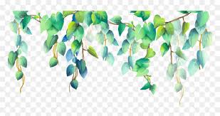 Transparent background watercolor leaves border png. Green Plant Plants Png Pngstickers Border Watercolor Leaves Transparent Png Download Vhv