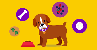 During the first three months puppies are growing fast so it's vital that a puppy has plenty of food during this time. Not Sure How Much You Should Feed Your Puppy We Re Here To Help