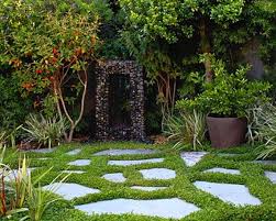 Image result for Dichondra